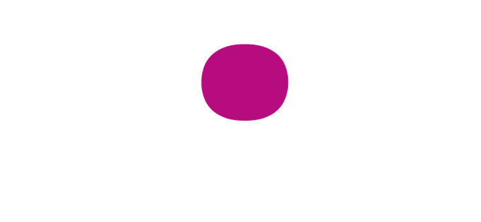 logo do fou motel